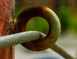 在线短信网页版免费版